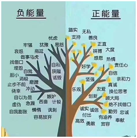 好能量|如何做一个高能量的人？